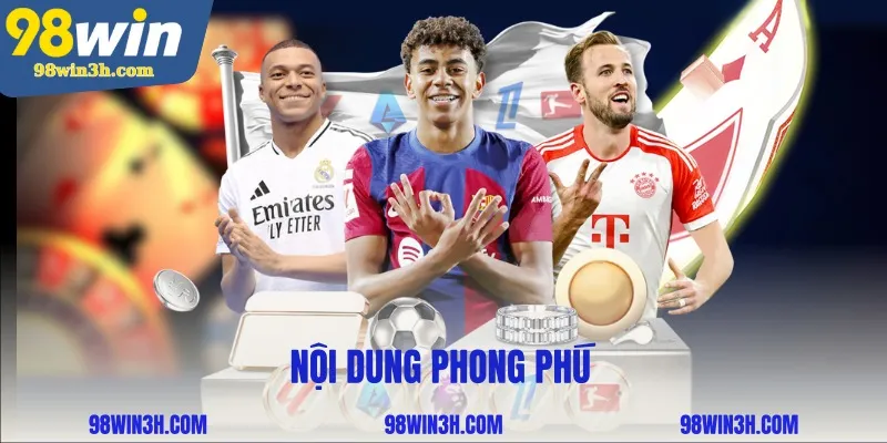 noi-dung-phong-phu_11zon